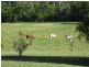 North Deep Creek QLD 4570