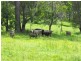 Beenaam Valley QLD 4570