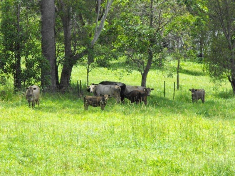 Beenaam Valley QLD 4570