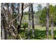 87 Green Trees Road, Pie Creek QLD 4570