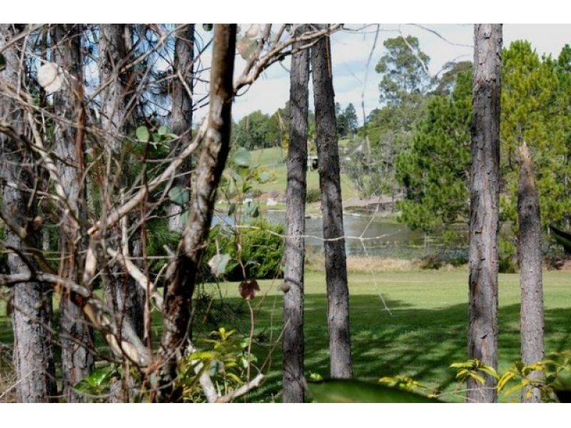 87 Green Trees Road, Pie Creek QLD 4570