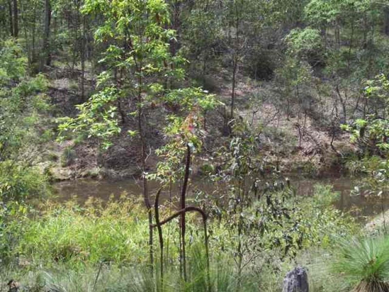 115 Tamaree Road, Tamaree QLD 4570