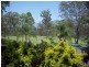 78 Little Widgee Road, Widgee QLD 4570