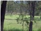 78 Little Widgee Road, Widgee QLD 4570