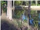 118 Lynne Drive, Curra QLD 4570