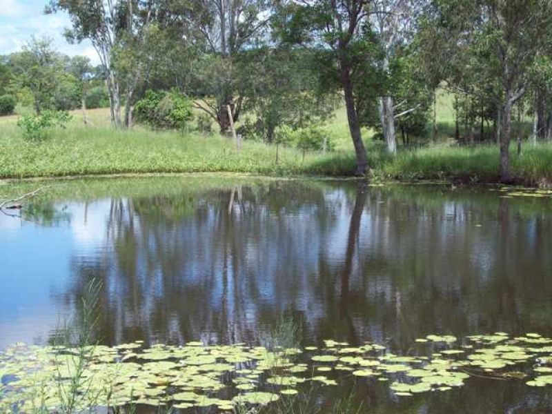 65 Laceys Lane, Gunalda QLD 4570
