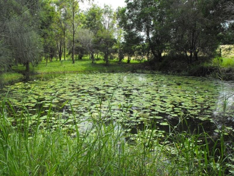 East Deep Creek QLD 4570