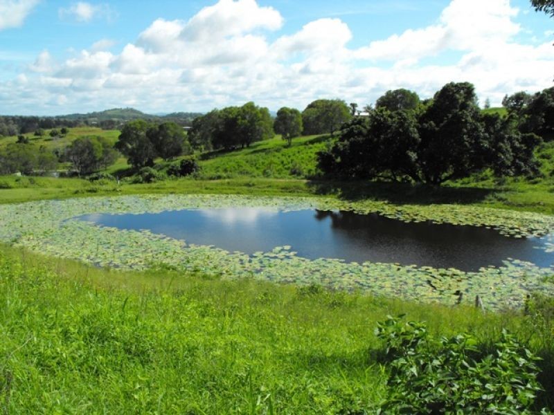 184 Robinson Road, Calico Creek QLD 4570