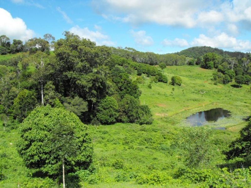 184 Robinson Road, Calico Creek QLD 4570