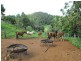 184 Robinson Road, Calico Creek QLD 4570