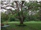 229 Kanyan Road, Glenwood QLD 4570