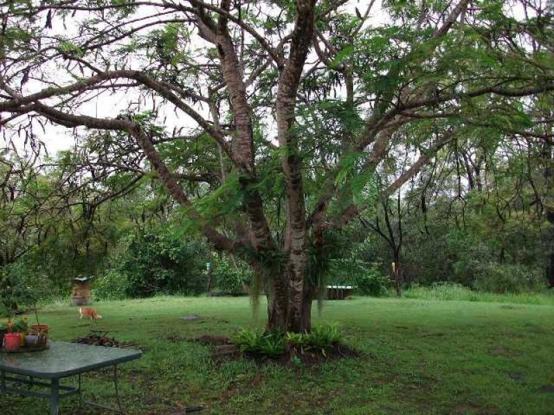 229 Kanyan Road, Glenwood QLD 4570