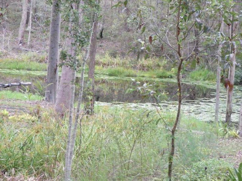 365 Nash Road, Tamaree QLD 4570