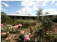 Anderleigh QLD 4570