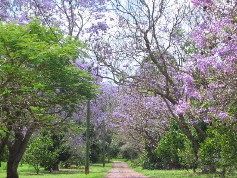 61 Hansen Road, Dagun QLD 4570