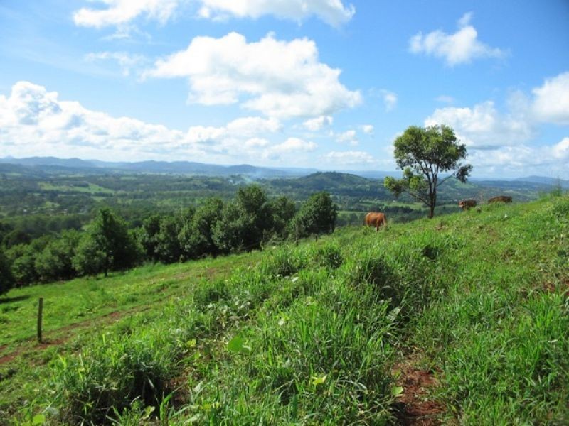 61 Hansen Road, Dagun QLD 4570