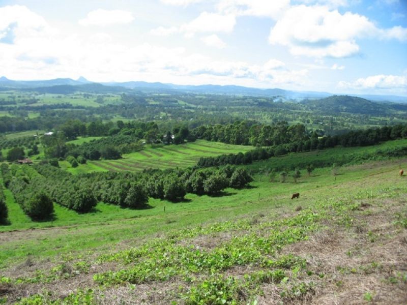 61 Hansen Road, Dagun QLD 4570