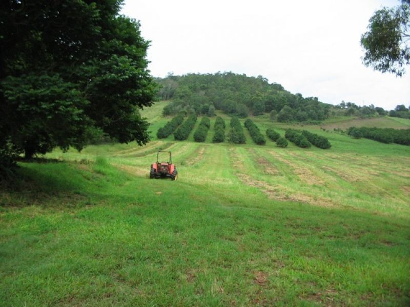 61 Hansen Road, Dagun QLD 4570