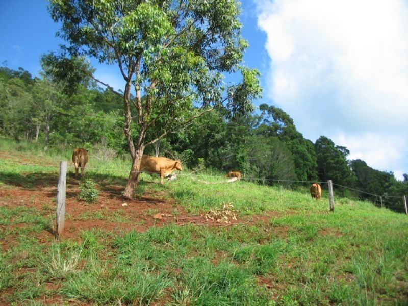 61 Hansen Road, Dagun QLD 4570