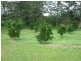 21 Blackgate Road, Amamoor QLD 4570
