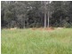 Wilsons Pocket QLD 4570