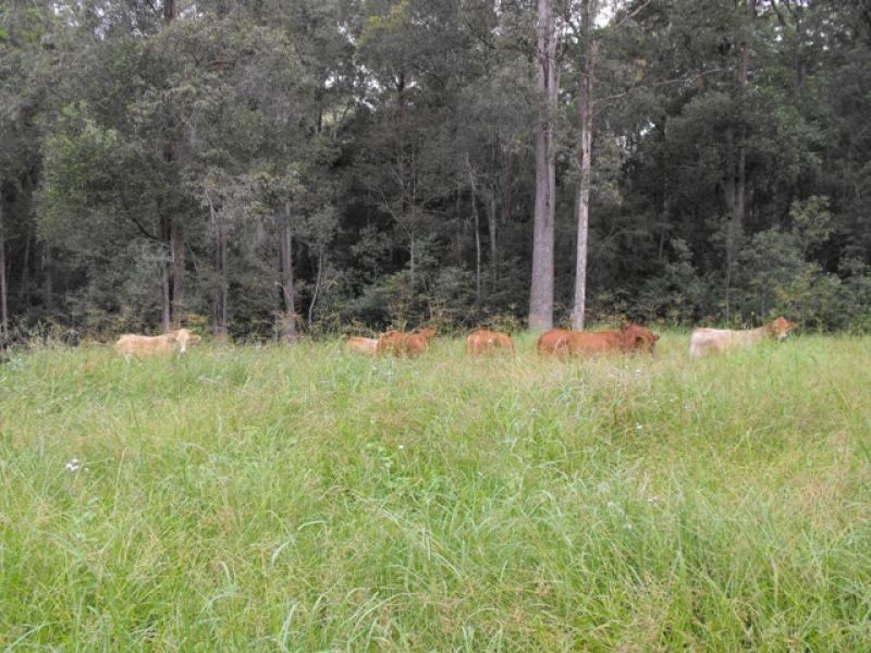 Wilsons Pocket QLD 4570