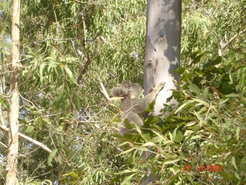 3 Power Road, Widgee QLD 4570