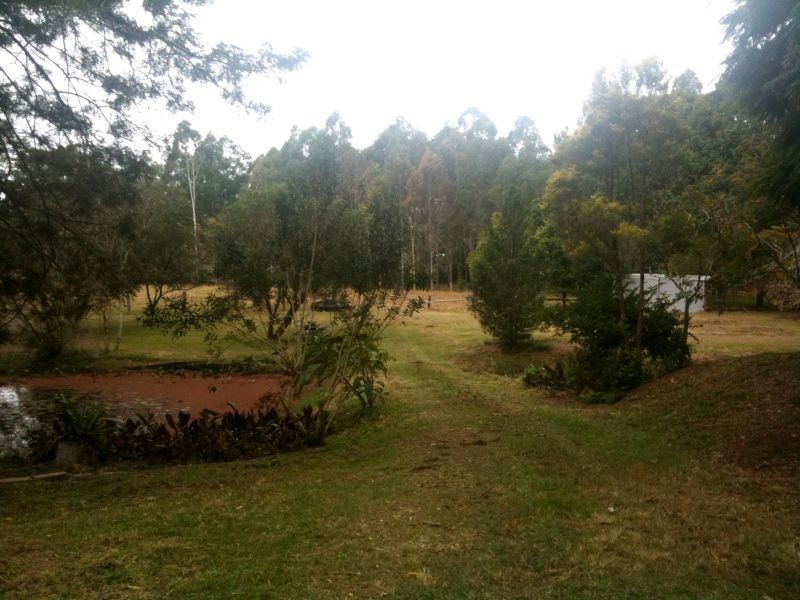 381 Eel Creek Road, Pie Creek QLD 4570