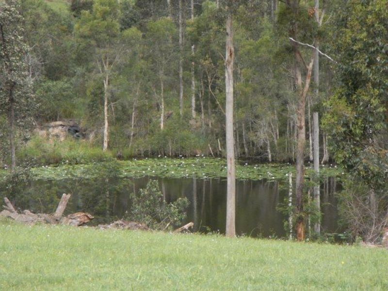 47 Forest Drive, Tamaree QLD 4570