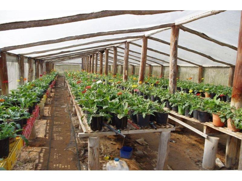 Mcintosh Creek QLD 4570