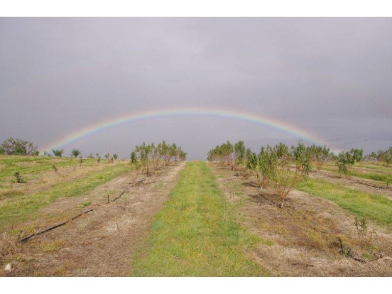 1891 Anderleigh Road, Anderleigh QLD 4570