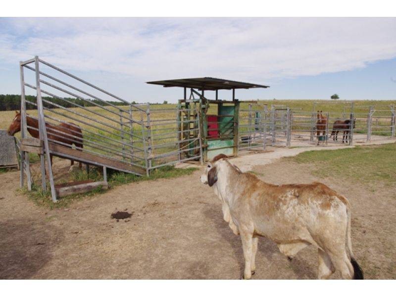 569 Counter Road, Wolvi QLD 4570