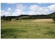 798 Abel Road, Lower Wonga QLD 4570