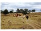 798 Abel Road, Lower Wonga QLD 4570