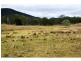 798 Abel Road, Lower Wonga QLD 4570
