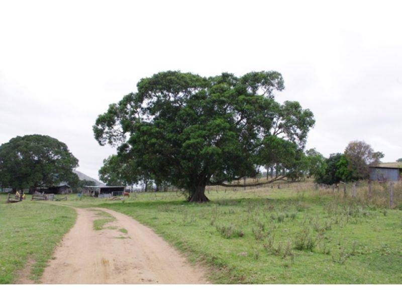 798 Abel Road, Lower Wonga QLD 4570