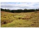 798 Abel Road, Lower Wonga QLD 4570