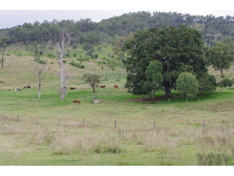 798 Abel Road, Lower Wonga QLD 4570