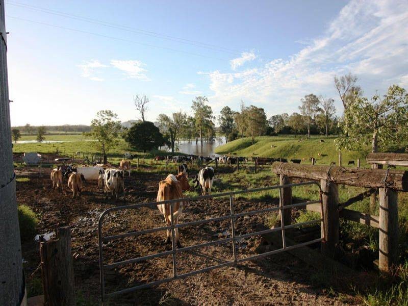 491 Curra Estate Road, Curra QLD 4570