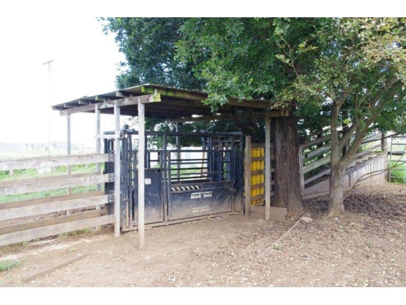 98 Ahern Road, Tansey QLD 4601