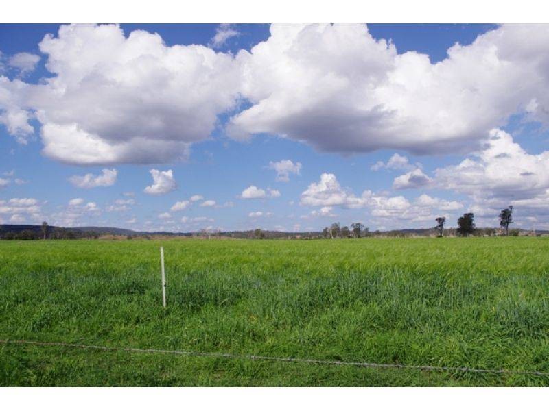 76 Ahern Road, Tansey QLD 4601