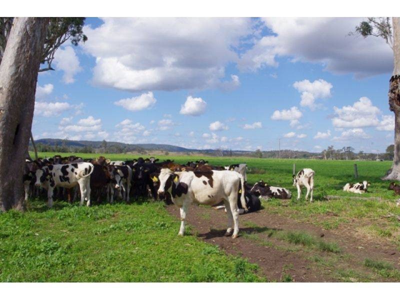 76 Ahern Road, Tansey QLD 4601