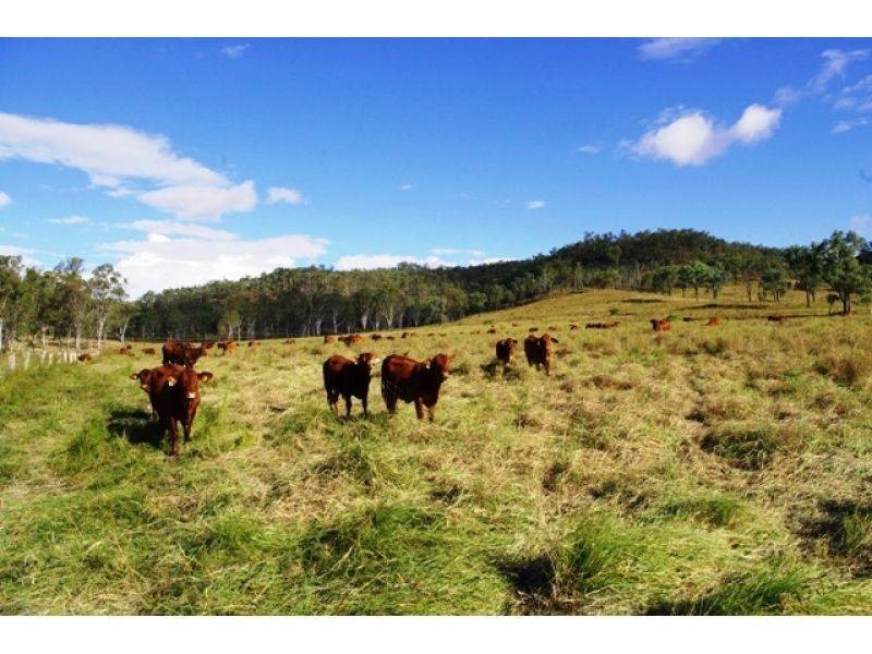 476 Ettrickdale Road, Booubyjan QLD 4601