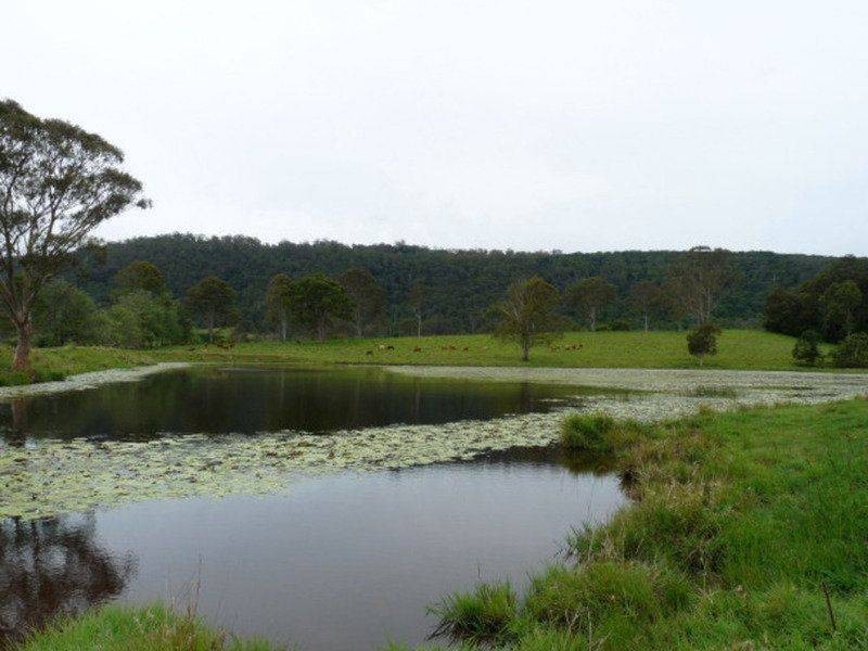 769 Neusavale Road, Neusa Vale QLD 4570