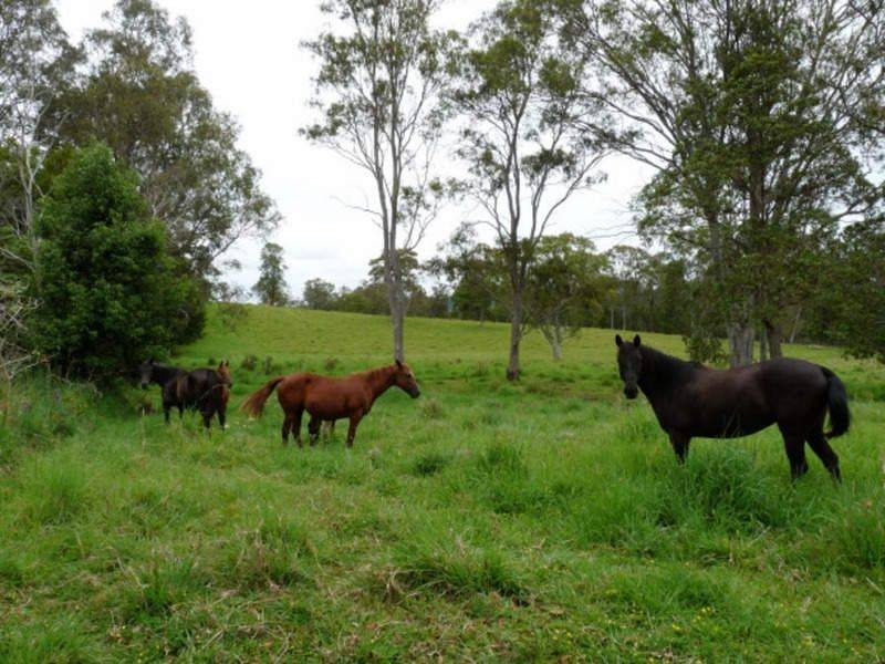 769 Neusavale Road, Neusa Vale QLD 4570