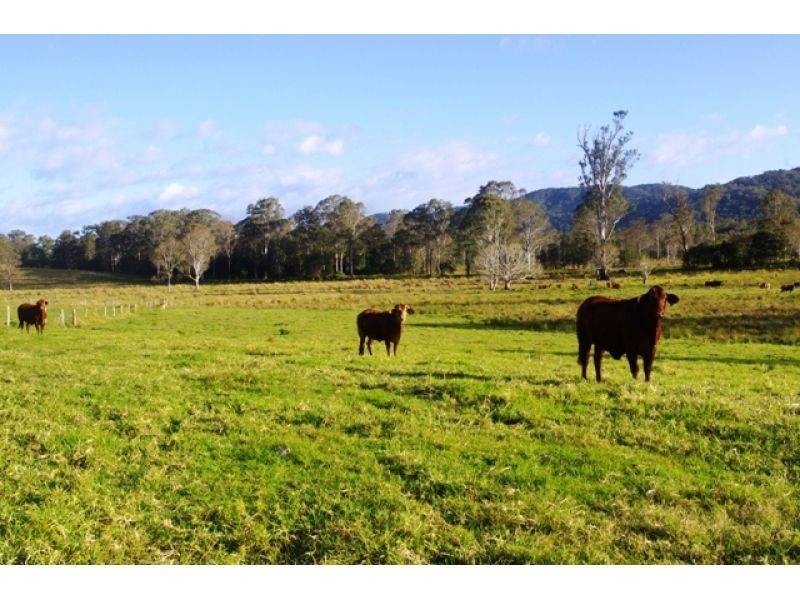 769 Neusavale Road, Neusa Vale QLD 4570