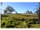 Wolvi QLD 4570