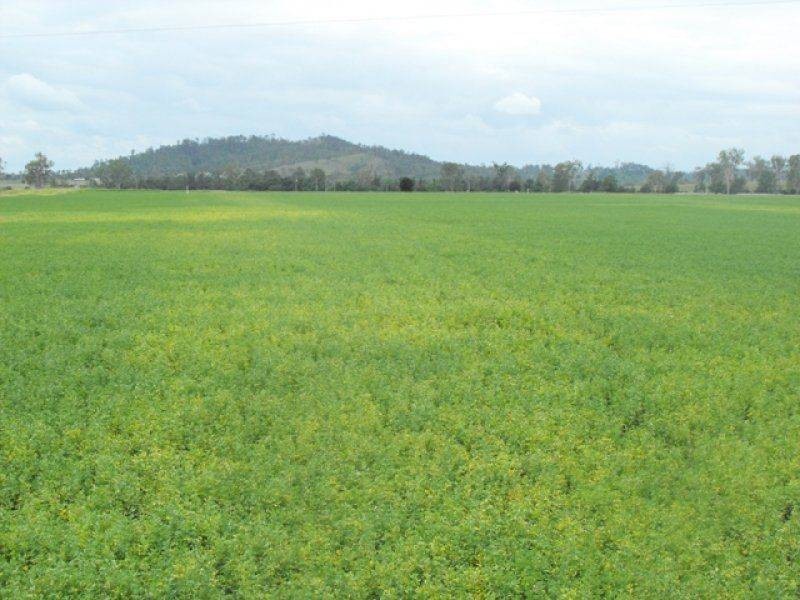 Lower Wonga QLD 4570