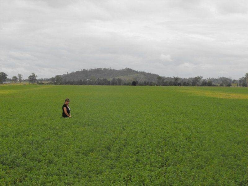 Lower Wonga QLD 4570