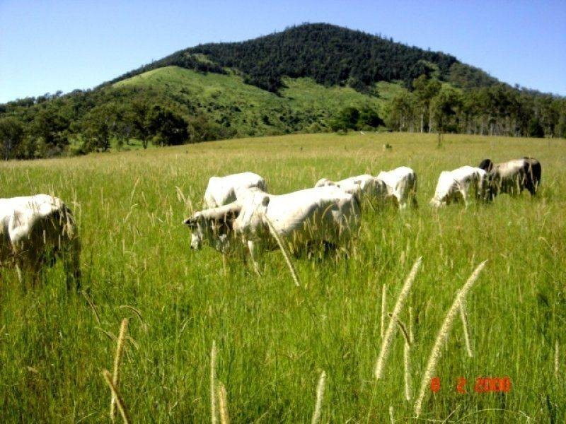 * Portas Road, Upper Glastonbury QLD 4570